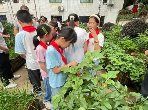 紅領巾同心築夢 常尋情牽手成長 ——常州市潘家小學師生到訪尋烏縣實驗小學校交流活動紀實