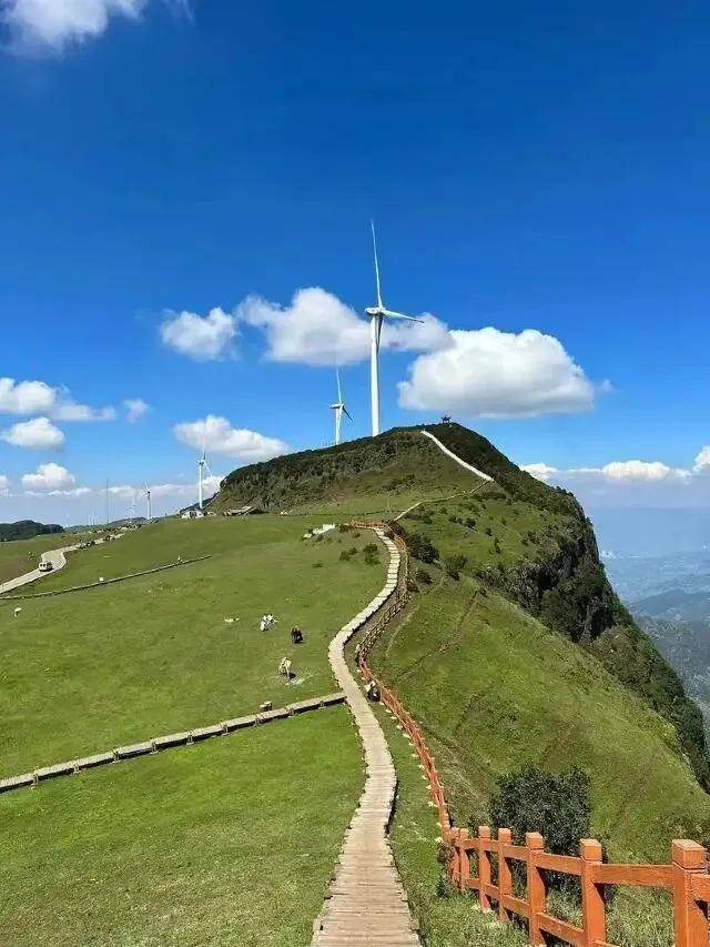 旅遊不如旅居｜這個暑假，換一種方式避暑 #旅居避暑聖地排名