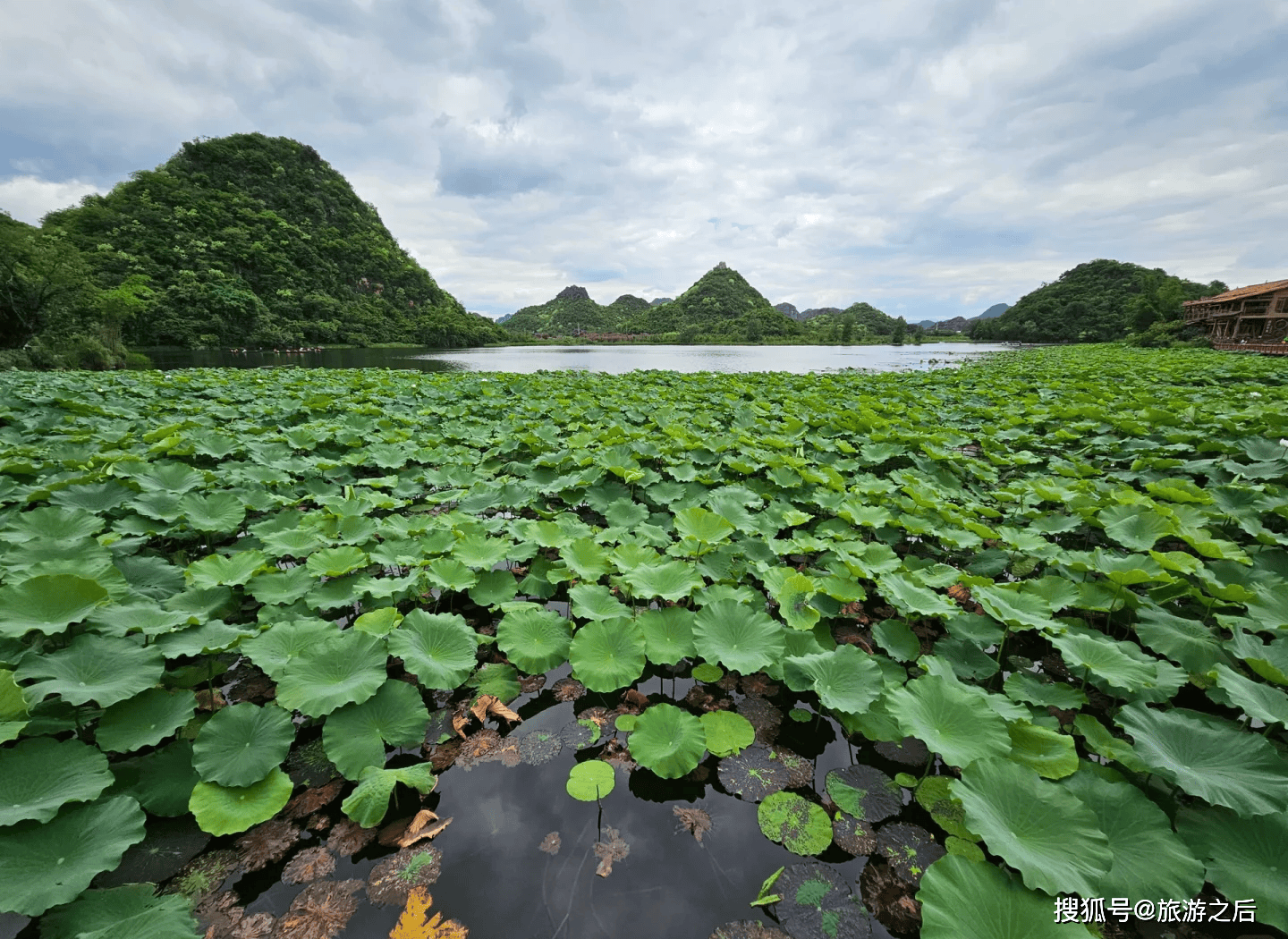 高鐵直達！雲南3個小眾旅遊城市，親子游天花板，暑假旅遊好去處
