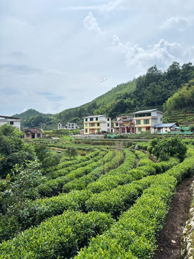 暑假旅遊，益陽安化黃花溪美景和美食攻略！