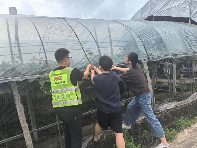 應對臺風“巴威” 浙江人保財險快速理賠護民生