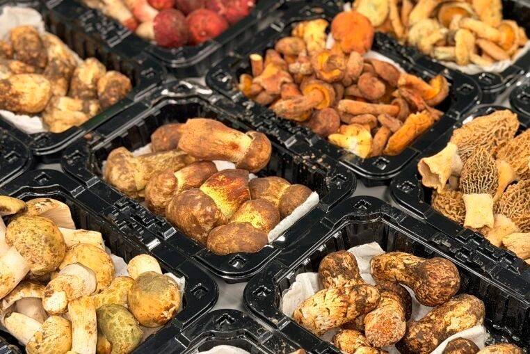 從山林到貨架的“鮮味接力”：京東七鮮超市全面上市雲南野生菌