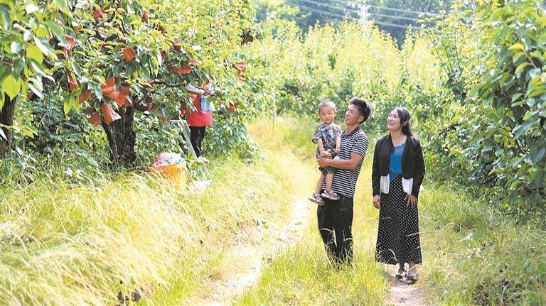 深耕移民社羣 帶領鄉親致富