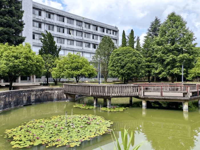 修文縣新增一所“園林式”中學