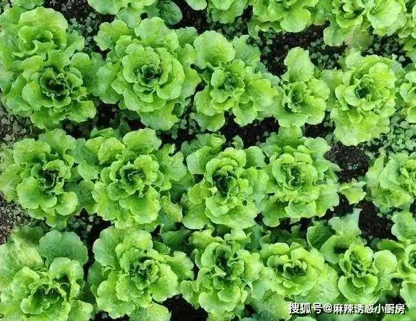 原創浙江“最全”年味地圖 有你家鄉的美食嗎