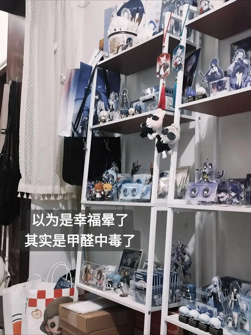 原創穀子買得越多越危險？女生在臥室收藏數百件周邊後，確診甲醛中毒