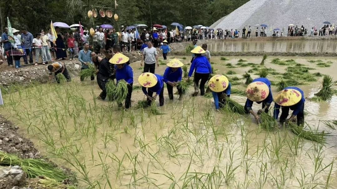 麻栗坡縣八布鄉“關秧門”文化旅遊節啟幕