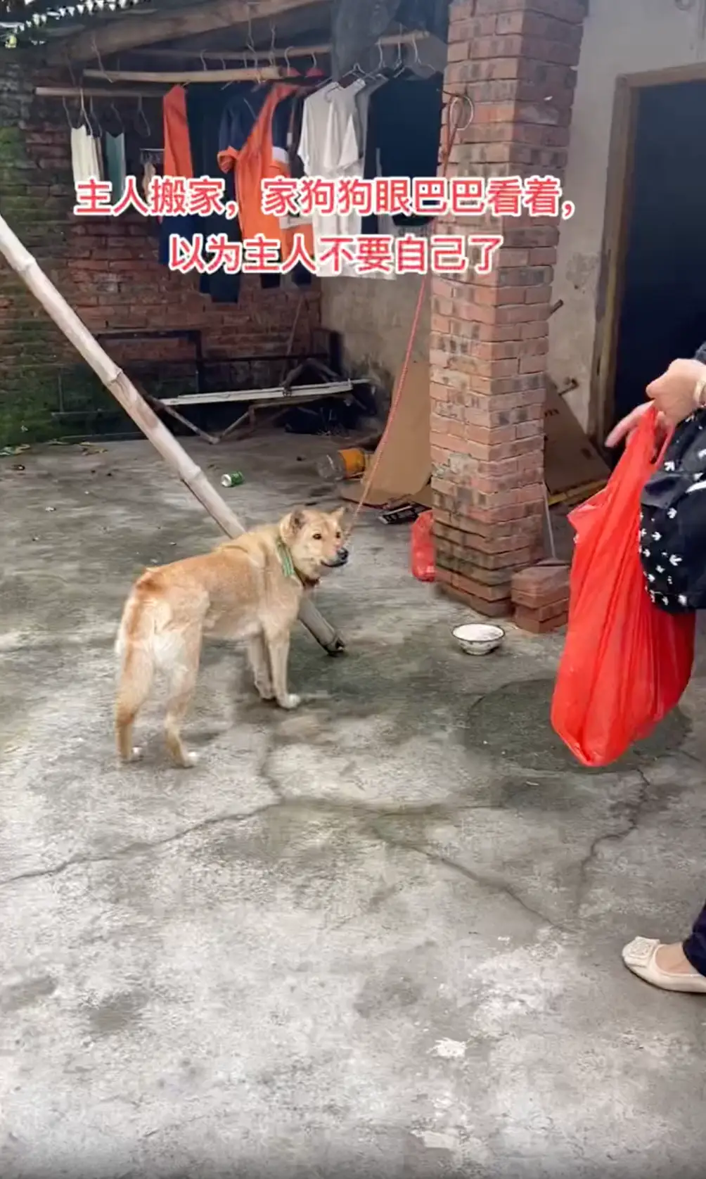 一家人搬家卻沒告訴狗子，它以為自己要被拋棄了一臉沮喪：小狗要沒有家了……