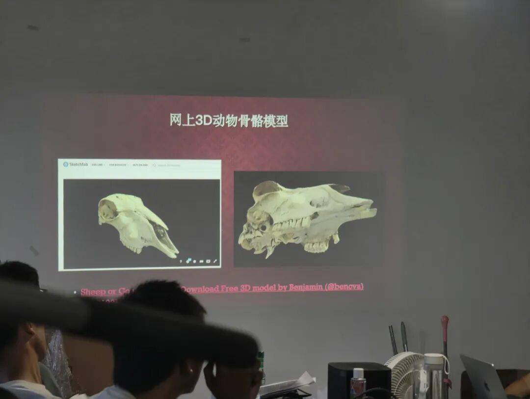 講座紀要丨尤悅：楚灣基地動物考古快速入門