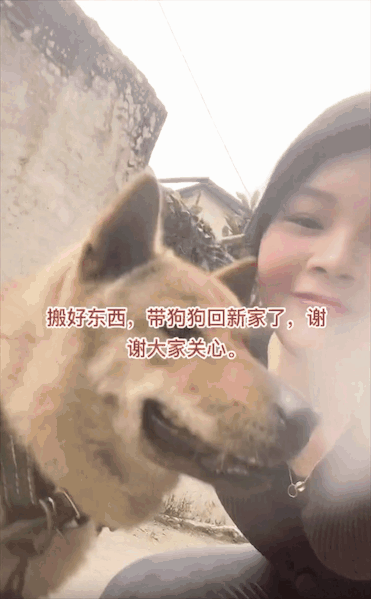 一家人搬家卻沒告訴狗子，它以為自己要被拋棄了一臉沮喪：小狗要沒有家了……