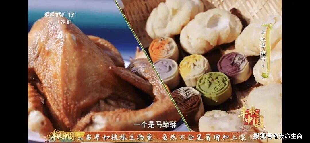 商丘非遺美食亮相CCTV‑17《豐收集結號》