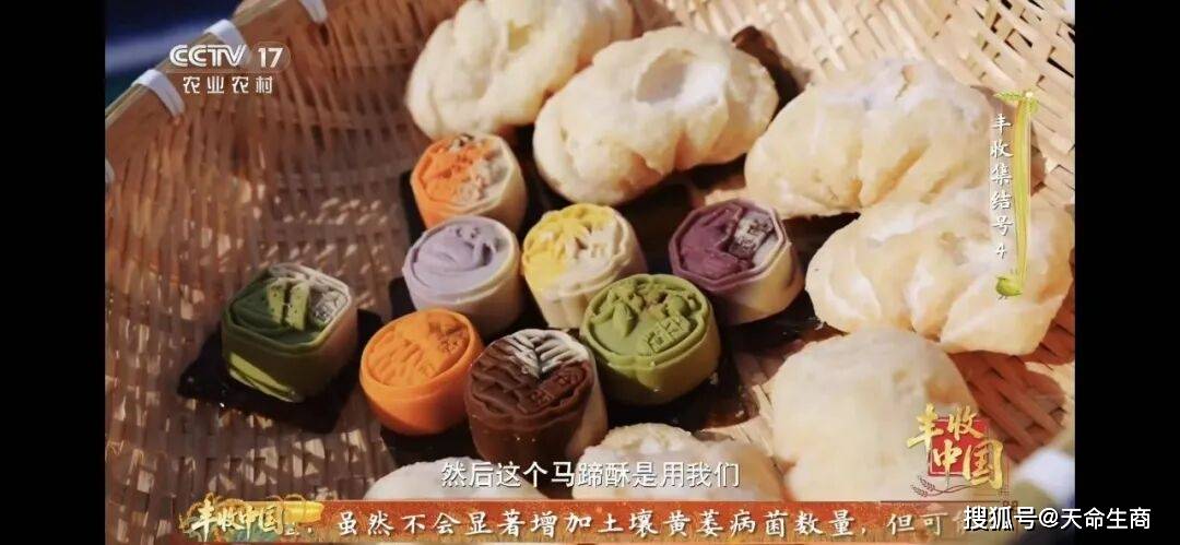 商丘非遺美食亮相CCTV‑17《豐收集結號》