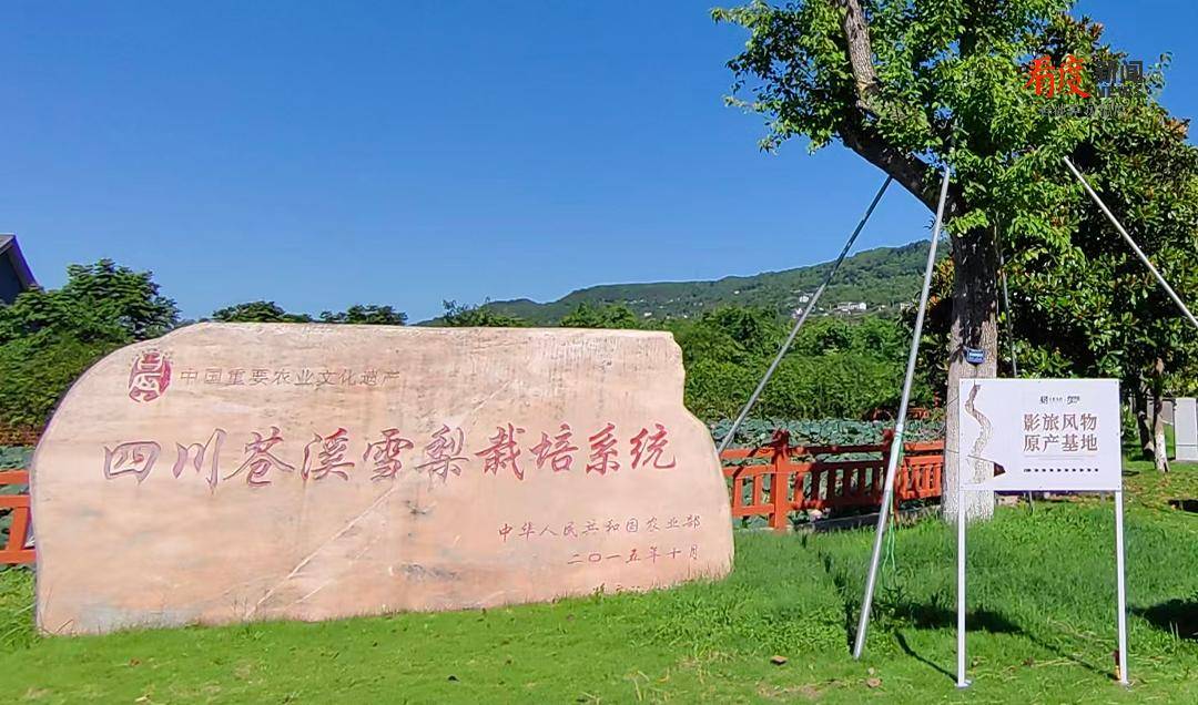 品質消費新週期，天府文旅下半年：新景區與影視IP齊發力，轉型迎來檢驗視窗