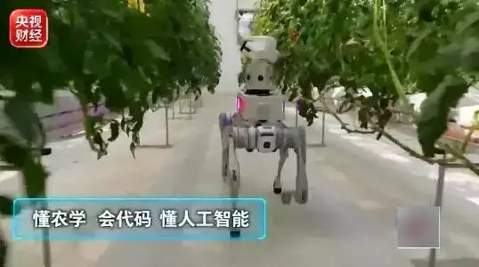 大學專業迎來一輪“上新”！究竟學什麼？就業前景如何？