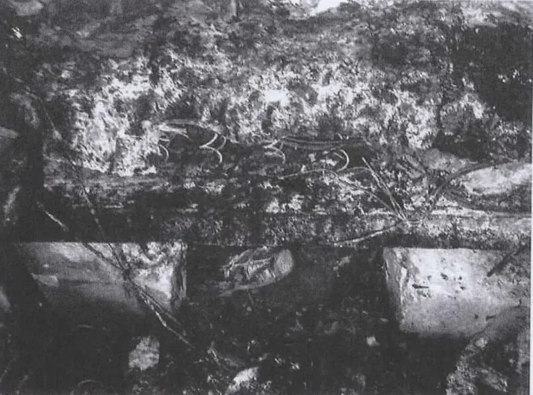 在床邊給電動車電池充電，男子重傷身亡，家屬向房東索賠110餘萬，法院判決→