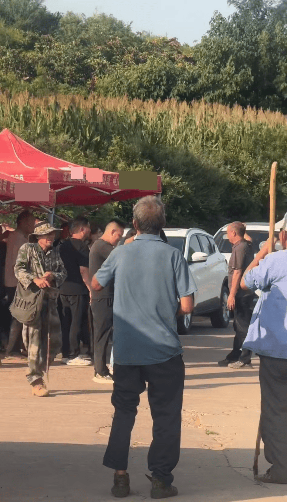 河南一女子上山打棗失聯四天，正在持續搜救，曾打電話給家人稱被馬蜂蜇傷，救援人員回應