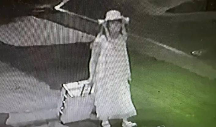 25歲中國女留學生在韓遭選修老師殺害，嫌犯稱雙方曾戀愛，擔心女方公開關係致自己失業