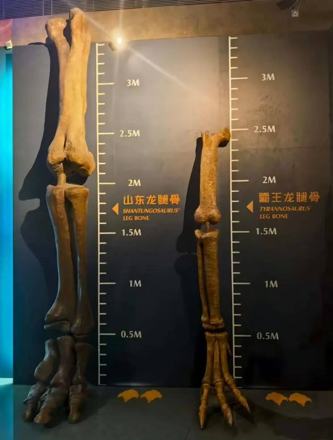 “買的快遞全部暴露特效把我當場震驚…？”哈哈哈快遞公司你們可老有梗了！