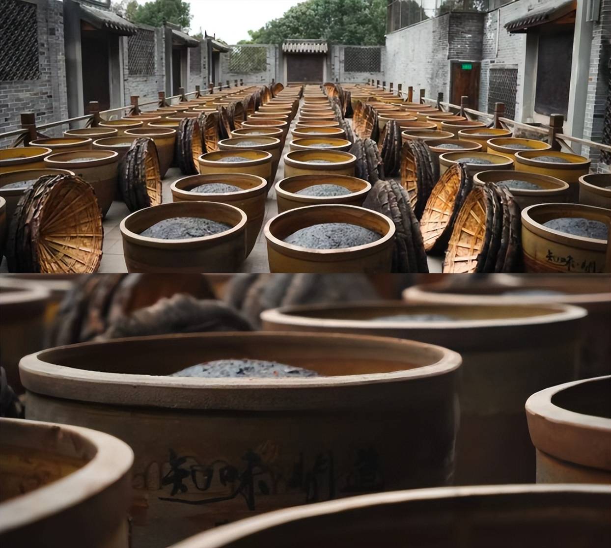 被誤解的味道：重新認識這些發酵美食