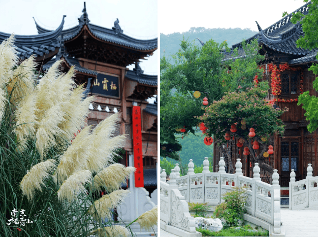 南京釋出大學新生福利！戳這裡→