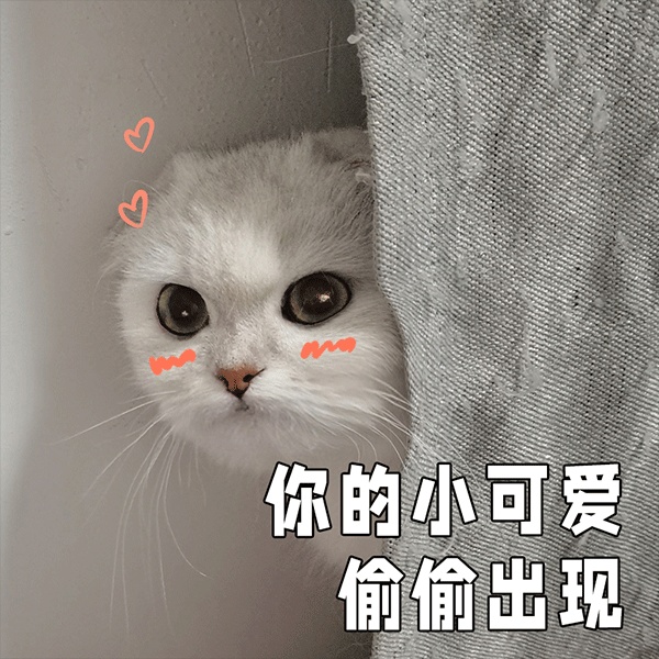 約1151元/月起！近幸福梅林、培風站！成都地鐵13號線周邊保租房介紹