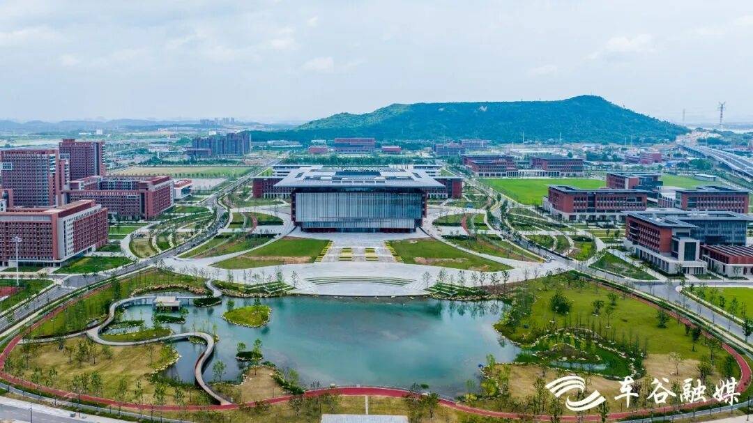 大學“進廠”，大城卡位